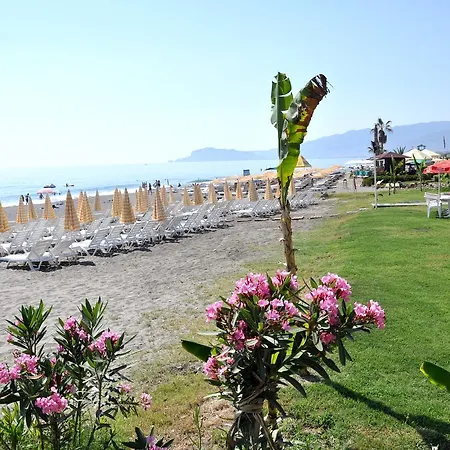 Deha 3* Алания